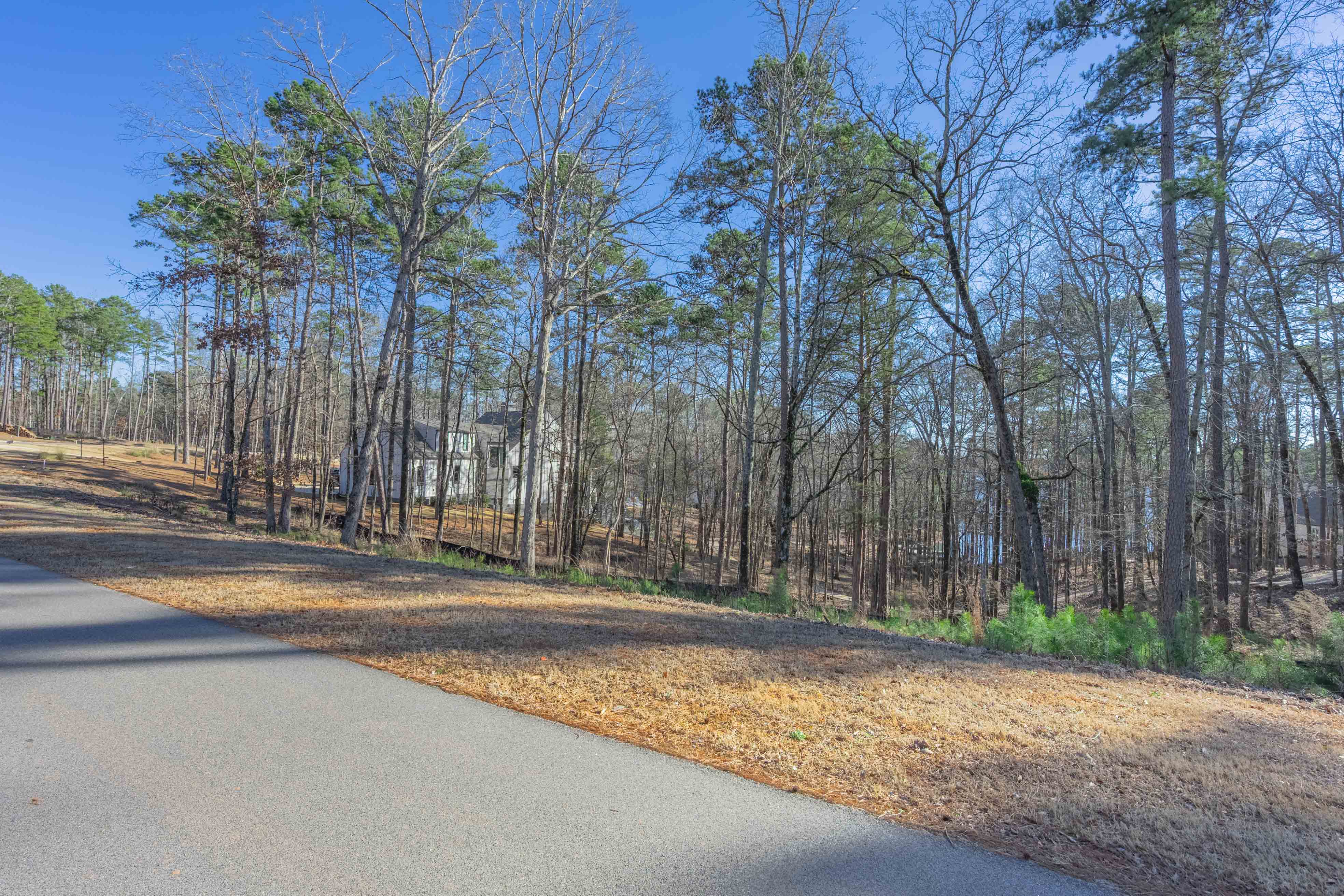 1261 Jumping Rock Drive image 3